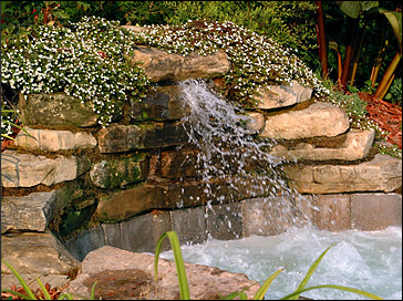 Spa Nature